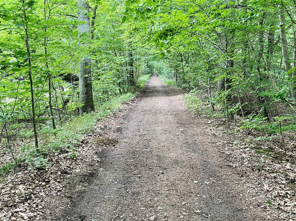 24-06-24 12-04-58 9830